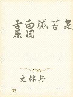 舌白腻苔是什么原因