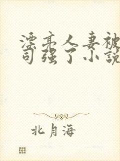 漂亮人妻被夫上司强了小说