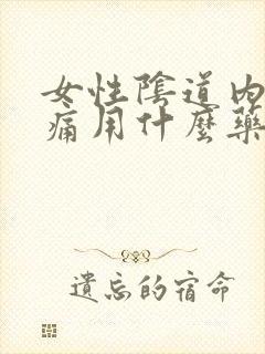 女性阴道内部疼痛用什么药