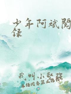 少年阿斌阅读目录