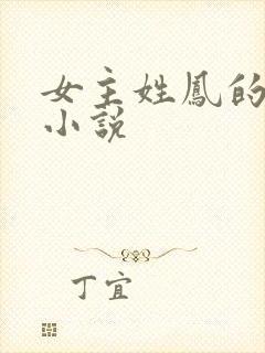 女主姓凤的穿越小说