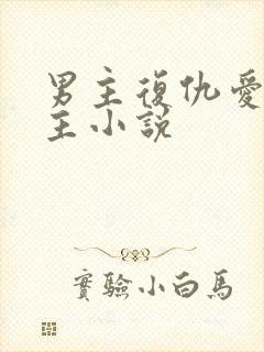 男主复仇爱上女主小说