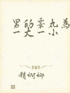 男的睾丸为什么一大一小