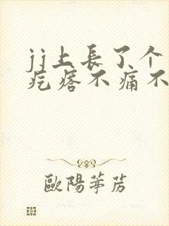 jj上长了个肉疙瘩不痛不痒