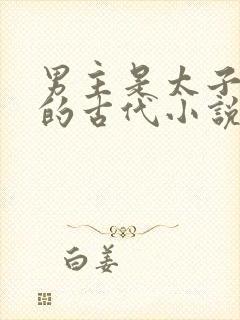 男主是太子姓裴的古代小说