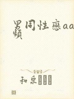 男同性恋aa视频