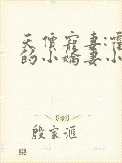 天价宠妻:霍总的小娇妻小说下载