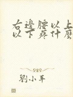 右边腰以上肋骨以下疼什么原因