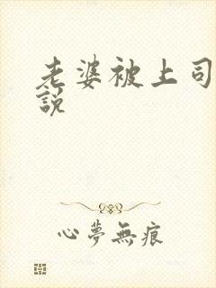 老婆被上司操小说