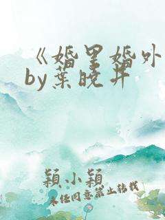 《婚里婚外》 by叶晓井