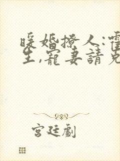 暖婚撩人:霍先生,宠妻请克制