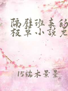 隔壁班来的偏执校草小说免费阅读