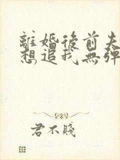 离婚后前夫总是想追我无弹窗