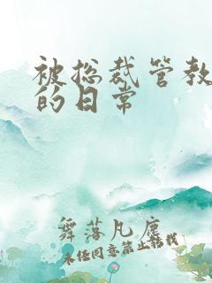 被总裁管教训诫的日常