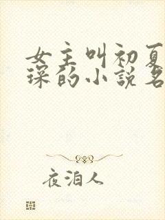 女主叫初夏顾霆琛的小说名字