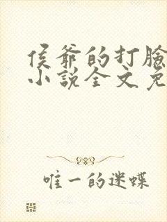 侯爷的打脸日常小说全文免费阅读