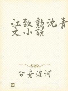 江致勋沈青青全文小说