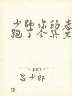 少帅你的老婆又跑了全集免费观看