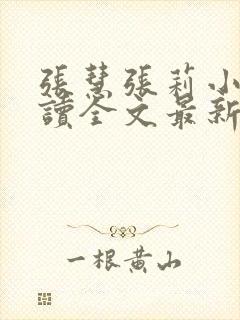 张慧张莉小说阅读全文最新章节