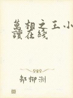 万相之王小说阅读在线