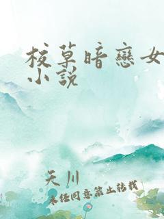 校草暗恋女主的小说