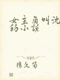 女主角叫沈知夏的小说