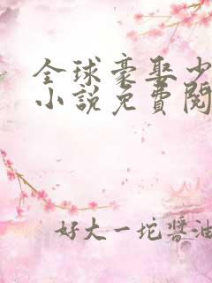 全球豪娶少夫人小说免费阅读