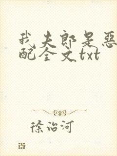 我夫郎是恶毒男配全文txt