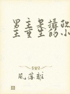 男主是摄政王女主重生的小说