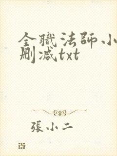 全职法师小说无删减txt