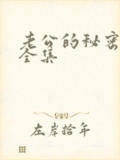 老公的秘密小说全集