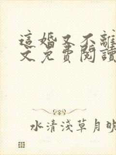 这婚又不离了全文免费阅读