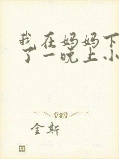 我在妈妈下面爽了一晚上小说