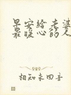 早安给老婆情话最暖心的人