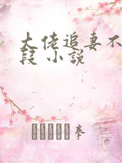 大佬追妻不择手段 小说