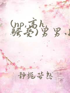 (np,高h,骚受)男男小说