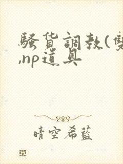 骚货调教(双性,np道具