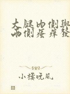 大腿内侧与阴囊两侧瘙痒发白怎么回事