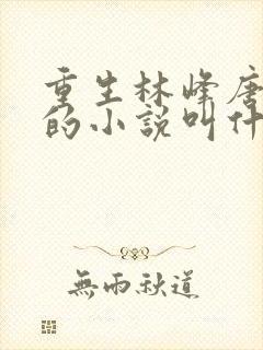 重生林峰唐雪颜的小说叫什么