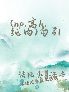 (np,高h,纯肉)勾引