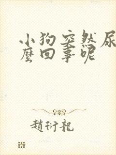 小狗突然尿血怎么回事呢