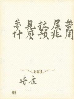 梦见拉屎带血是什么预兆周公解梦