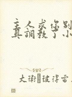 主人求你别用道具调教了小说