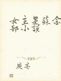 女主是苏念的全部小说