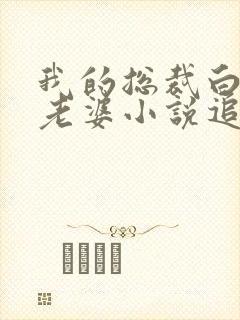 我的总裁白富美老婆小说追书