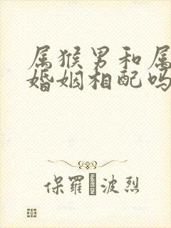 属猴男和属牛女婚姻相配吗