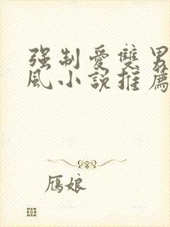 强制爱双男主古风小说推荐