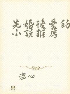 先婚后爱的言情小说推荐