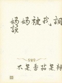 妈妈被我调教小说