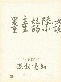 男主姓陆,女主重生的小说